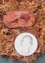 015katzen052111.jpg