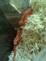 2013-07-25_11-55-39_251.jpg