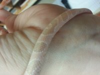 20130412_150757.jpg