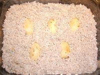 Buzztail 2010 002_800.jpg