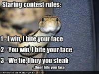 stare.jpg