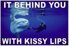 kissylips.jpg