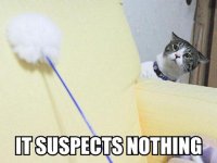 suspectnothing.jpg