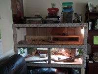 DSCF3383 [new 2].jpg