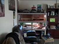 DSCF3384 [new 2].jpg