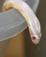 IMG_9086.JPG