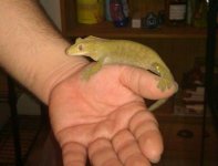 IMG_20111027_224448-1.jpg