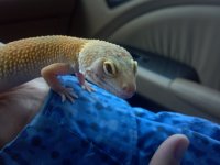 2013-04-15_17-57-22_903 (800x600).jpg