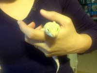 IMG_20130415_193505 (800x600).jpg