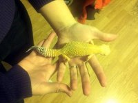 IMG_20130415_193524 (800x600).jpg