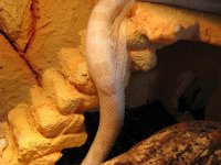 IMG_2337 klein.jpg