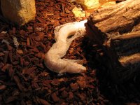 IMG_2338 klein.jpg