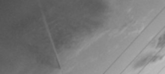 zoombw.JPG