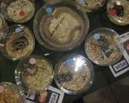 delis5.jpg