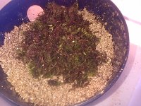 IMG-20131111-02724.jpg