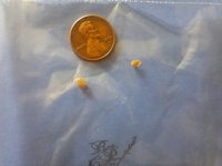 2013-04-17_12-27-03_914 (800x600).jpg