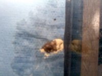 poop 3.jpg