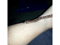 20130417_201525.jpg