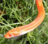 IMG_3027.JPG
