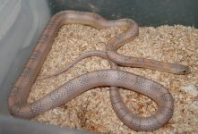 IMG_3749.JPG