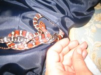 IMG_3789.jpg