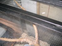 IMG_1611.JPG