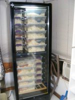 11-1-11 034.jpg