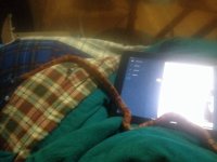 ImageUploadedByTapatalk1408319791.169416.jpg ImageUploadedByTapatalk1408319791.169416.jpg