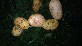 cormeggs 1 (Copy).jpg