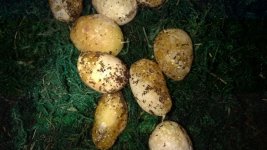 cormeggs 3 (Copy).jpg
