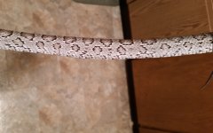 20140817_212635.jpg