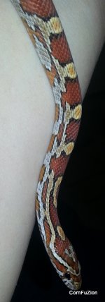 20130420_225417.jpg