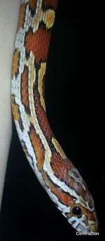 20130420_225423.jpg