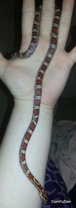 20130420_225653.jpg