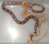 5-18-12-hookups 032cs.jpg