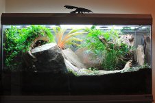 tank3-full.jpg
