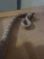 lun(8).jpg