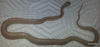 20130423_094658.jpg