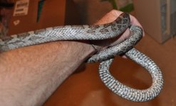 DSC_4473.JPG
