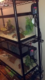 side view of viv shelf.jpg