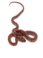 May 18, 2013 009-W.JPG