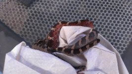 IMAG6027.jpg IMAG6027.jpg