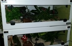 rip_rel.jpg rip_rel.jpg