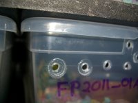 RB Fix 007.jpg