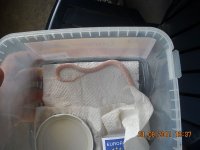 dscn1509.jpg