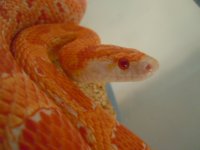 DSCN4403.JPG
