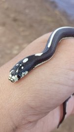 20130803_160408 (450x800).jpg