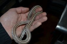 DSC_0899.JPG