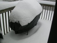 DSCN8165.JPG