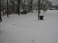DSCN8170.JPG